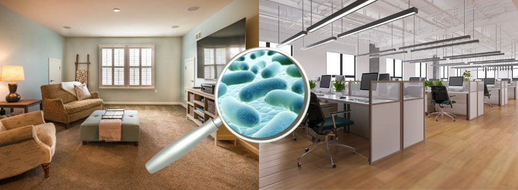 Mengenal Bakteri di Rumah dan Kantor - Home office Cleaning